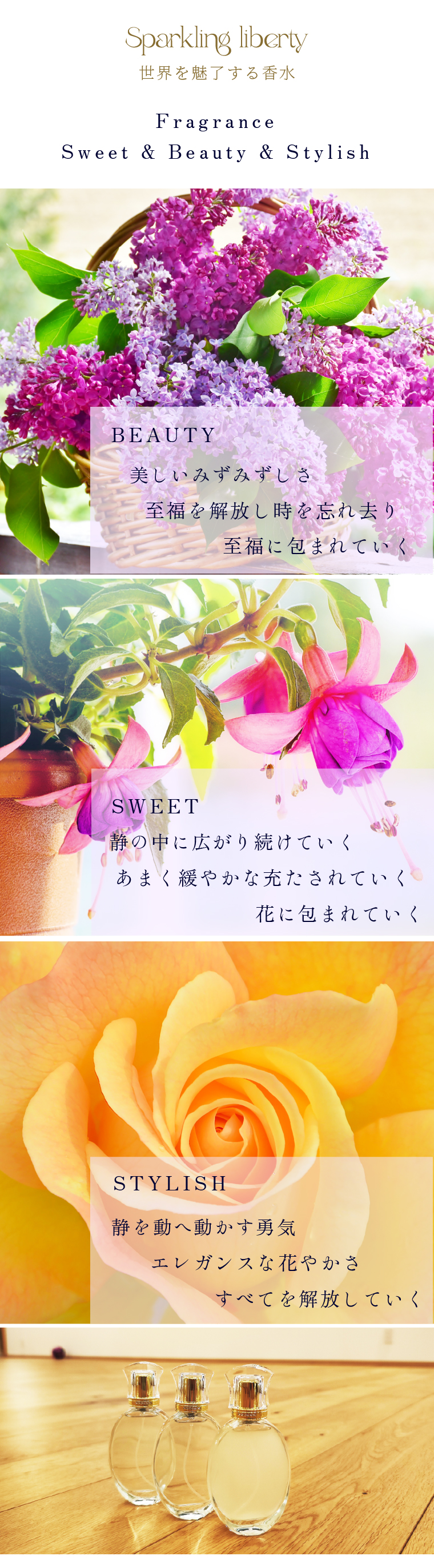 スマートフォン用の画像