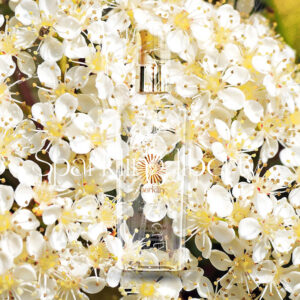 SPARKLING LOTION